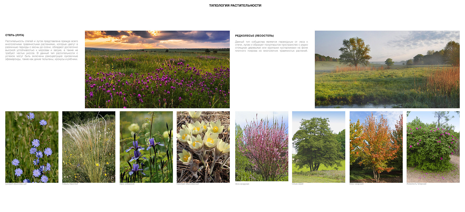 Проект развития городского пространства «Притяжение» в Магнитогорске.