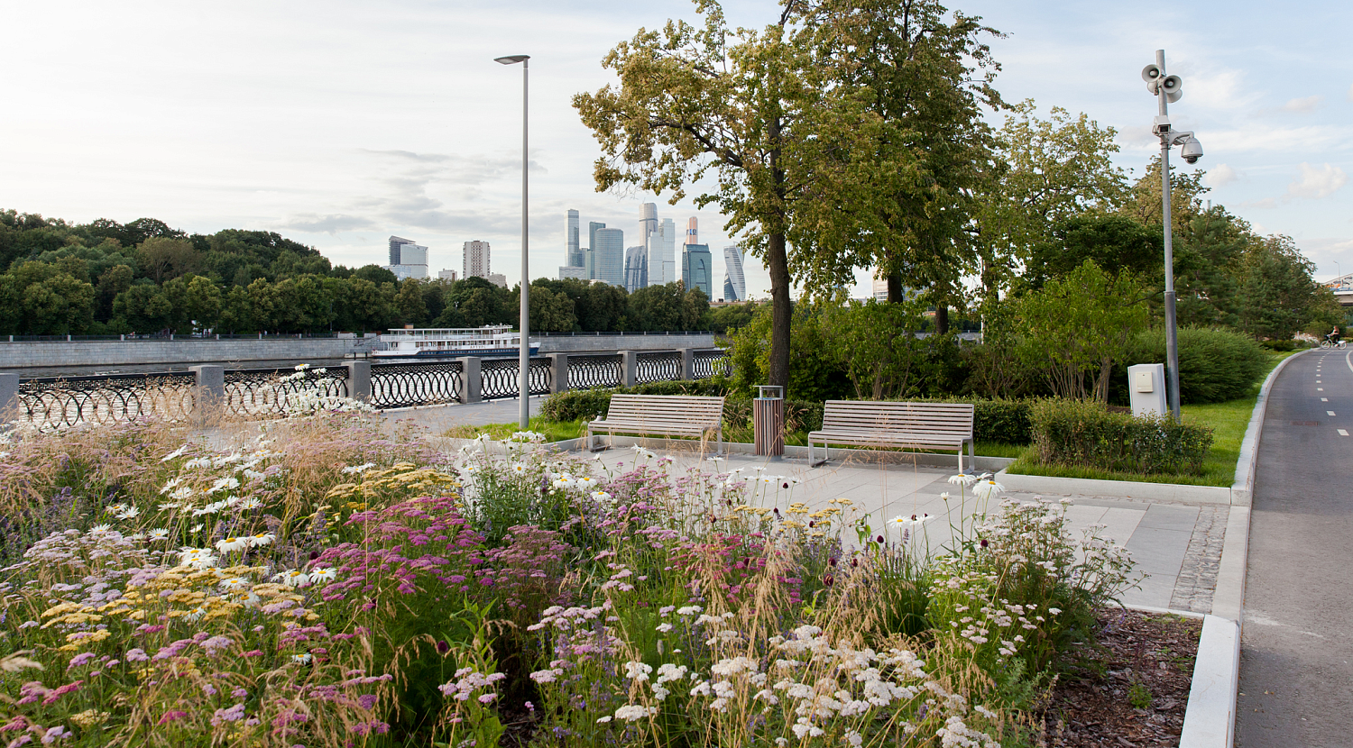 Олимпийский комплекс Лужники